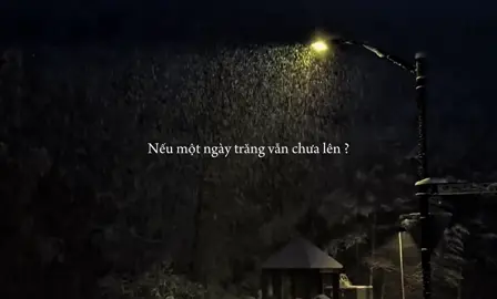 Sao một mình vẫn mãi cô đơn ? #trucanh2004 #tamtrang #fyp #lyrisc 
