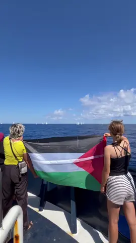 Les bateaux pour Gaza #adelehaenel #freepalestine #palestine #globalsumudflotilla #gretathunberg 