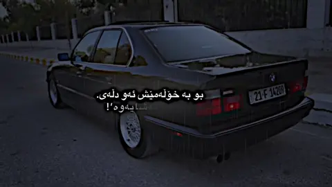 خۆڵە مێشـ🖤،#foryoupage #foryou #tiktok_wolf 