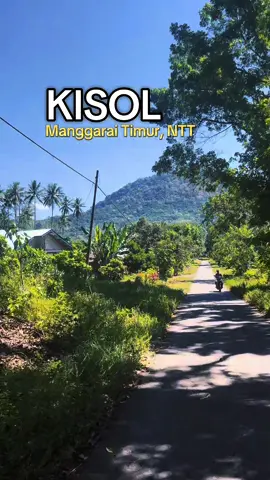 #ntt  #nttpride🏝🔥  #kisol  #manggraitimur  #fyp 