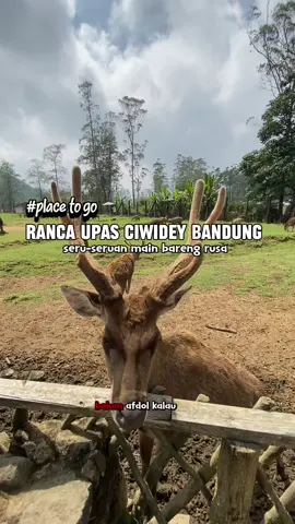 memang gak prnah ada bosen'y klo main ke ciwidey . dan untuk penginepan'y aku percayakan di reddoorz krna lebih terjangkau dan nyaman ,  download aplikasi RedDoorz jgn lupa masukan kode voucher YUKNGINEP biar dapet jaminan harga terbaik 😍 #REDTRAVELERS #bukasemuapintu #reddoorz #healingbarengkeluarga #rekomendasihotelbandung 