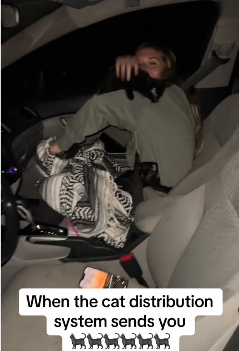I was selected by the cat allocation system🐱🥰🥰#funnycats #funnyanimals #petvideos #cat #catsoftiktok #fyp #usa #longervideos