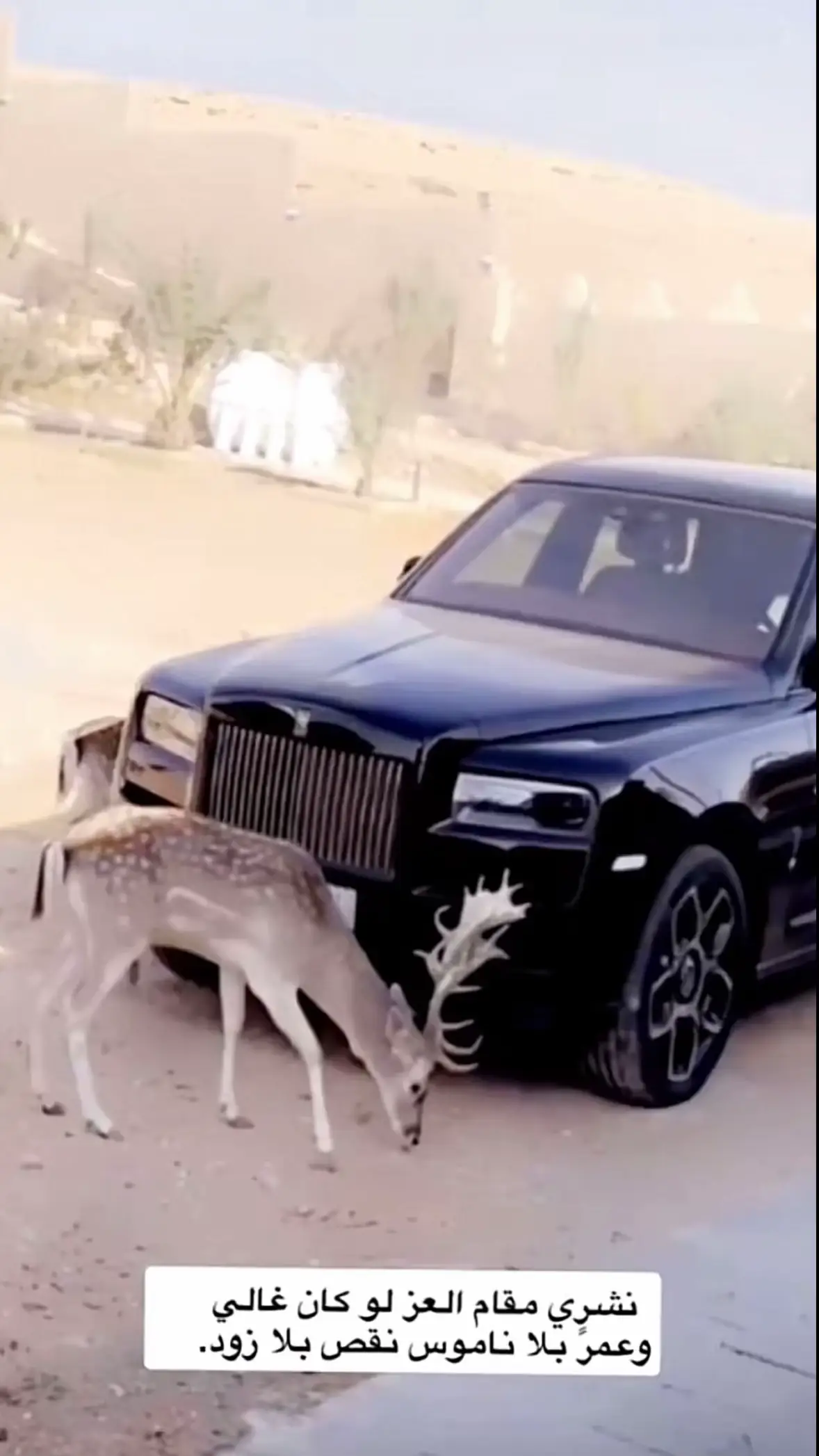 #اكسبلور #نجران #نجران_الان 
