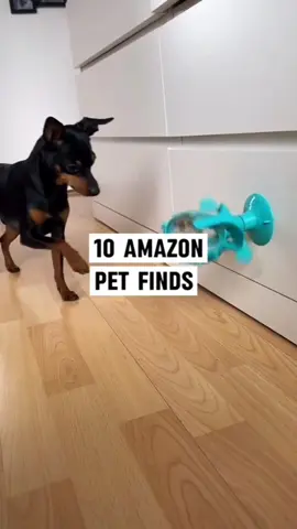 🔥 10 Best Amazon Pet Finds Of 2025 🐶  💥 You Can Find Those Under 