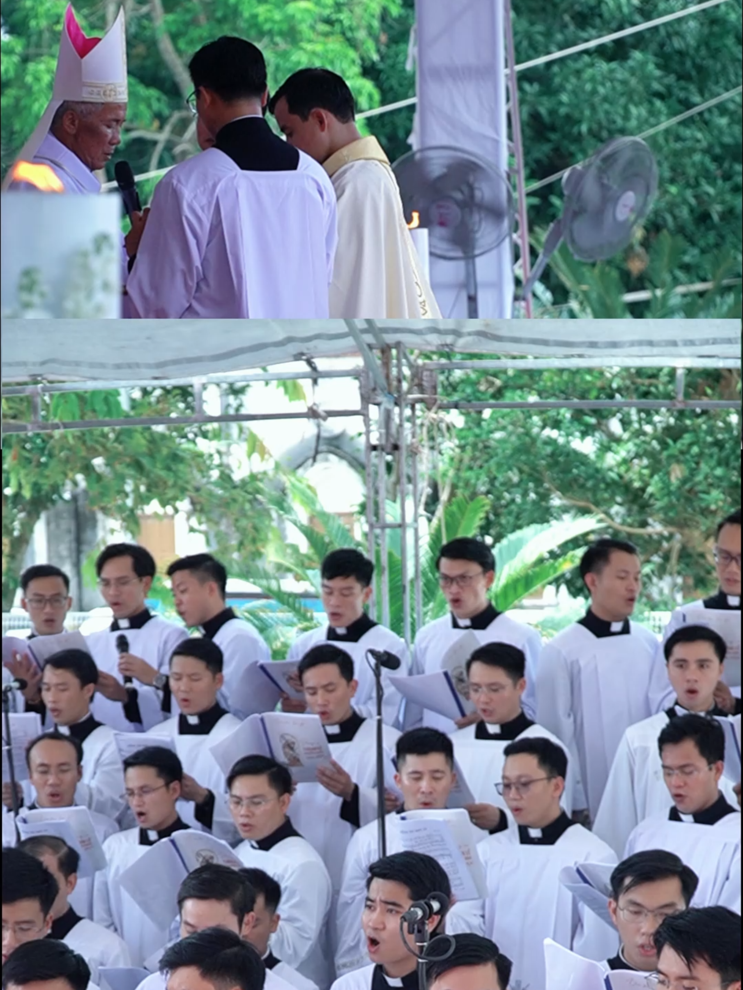Biết lấy gì cảm mến #daoduong #conggiao #giaophanvinh #letruyenchuclinhmuc