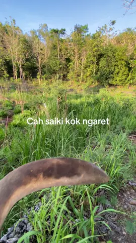 Tukang ngaret #tukangngaret #sobatngaret