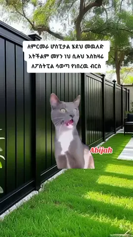 just for memes 😂