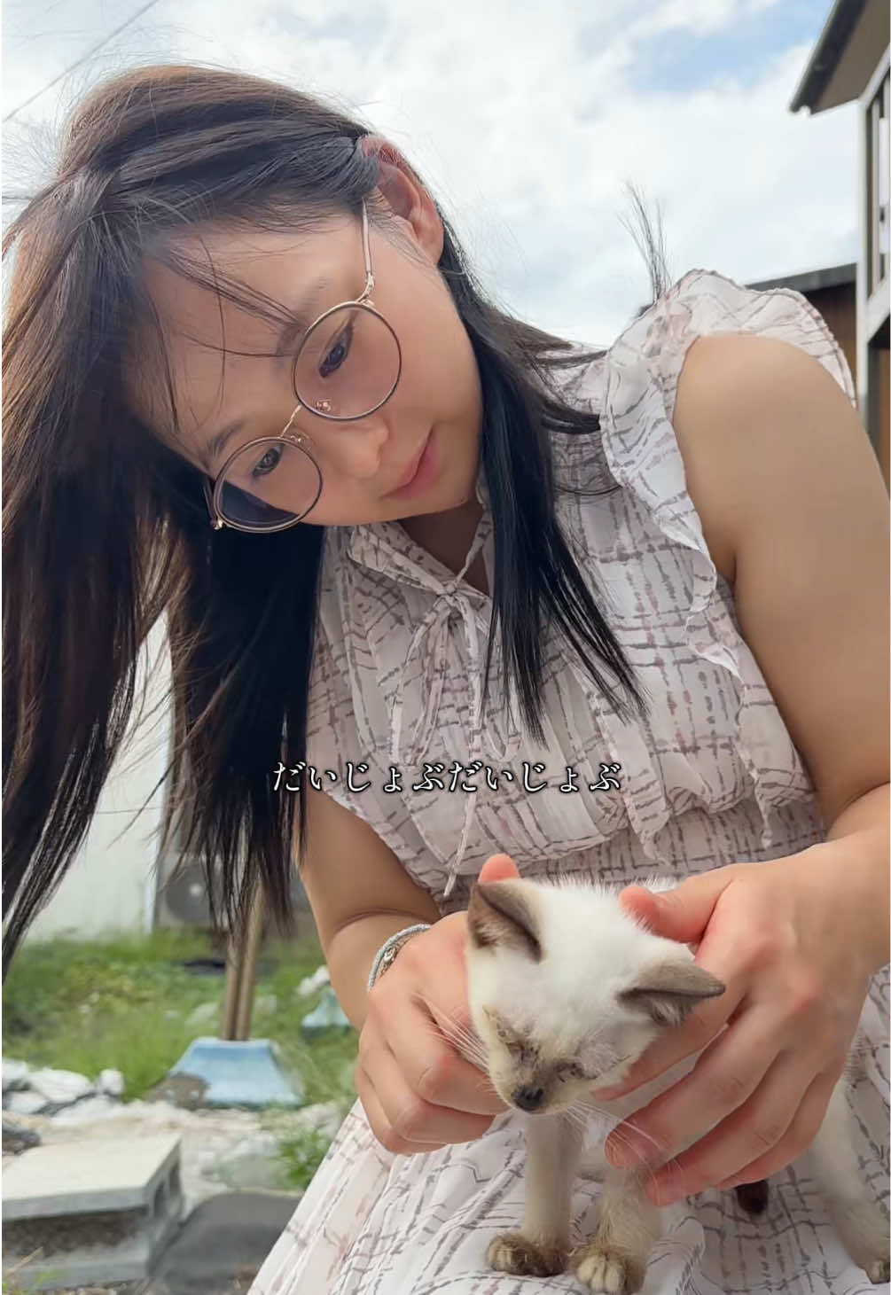 ひとりぼっちの産まれて子猫ちゃんに出会ったよ🥹💓 この子のお名前決めてほしいな💡 #子猫 #癒し #猫のいる暮らし 
