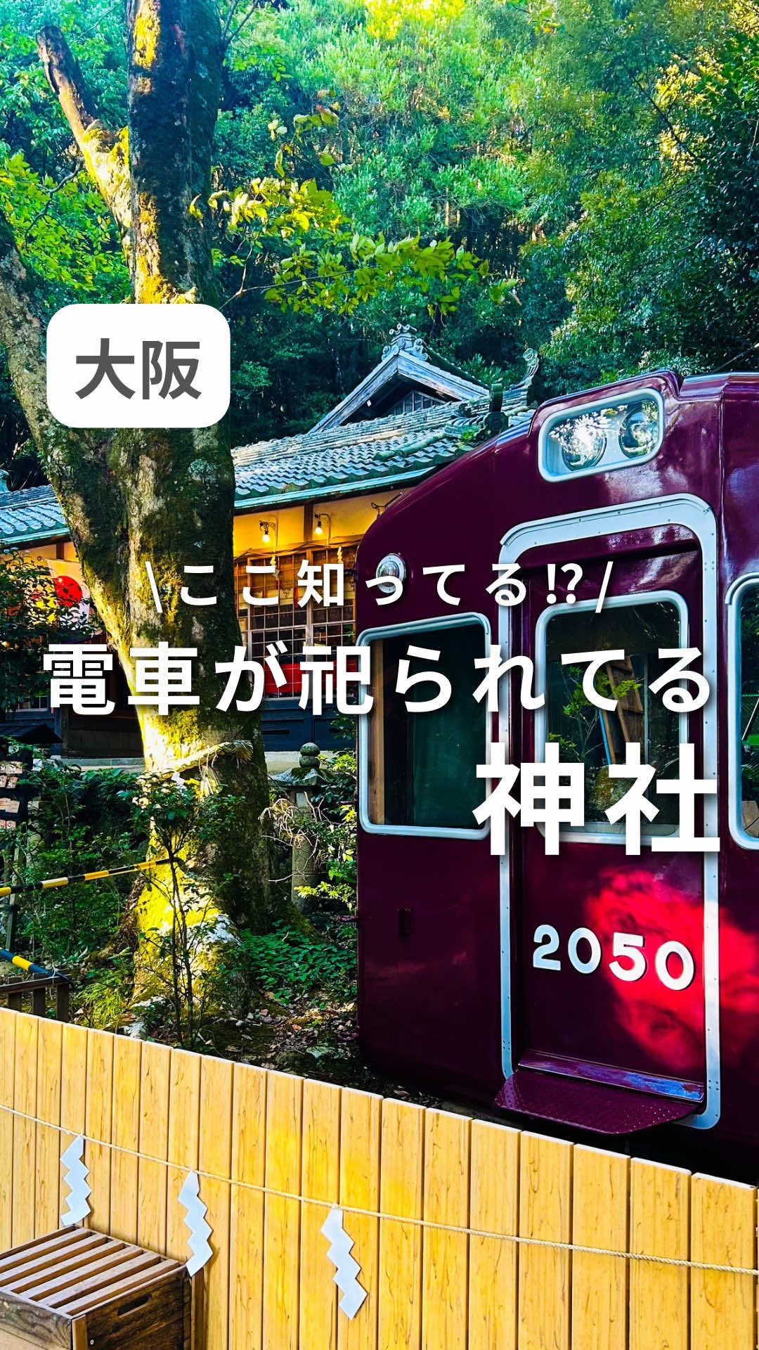 ここ知ってる⁉️ 電車が祀られてる神社⛩️ #神社 #神社仏閣 #お寺 #大阪 #パワースポット 