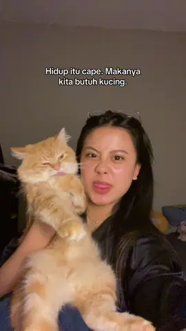kita butub kucing biar ga gila #kucing #cats #catsoftiktok #catslovers #catstory #catsofinstagram #catsofinstagram #catslovers #kucingindonesia #kucingtiktok #kucingviral 