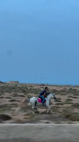 #خيل_وخياله🐎 #خيل_عربي #حصاني #girls #خيال 