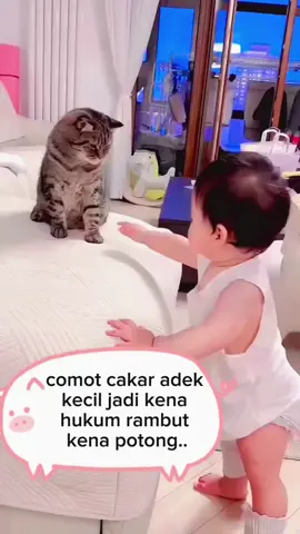kena potong bulu nya comot  #viralvideo #fyppppppppppppppppppppppp #funny #lucu #humor 