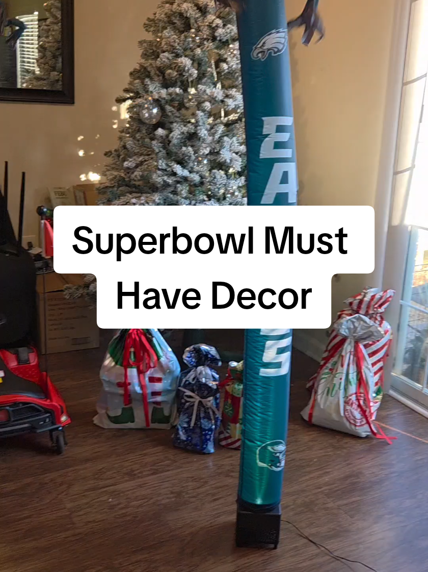 In your dreams 🤣🏈🦅 #eaglesnation #football #qvc 