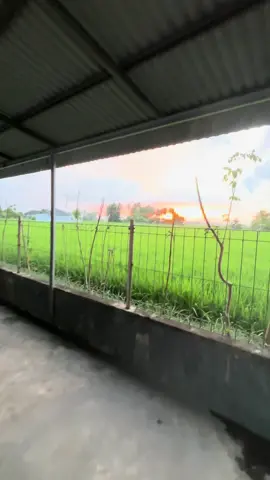 Senja#fyp #masukberanda #acehviral #senja 