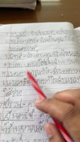 #ep.3. #แต่งประโยค #คลิปเรียวสร้างรายได้ #ครูภาษาไทย  #ครูพละ 