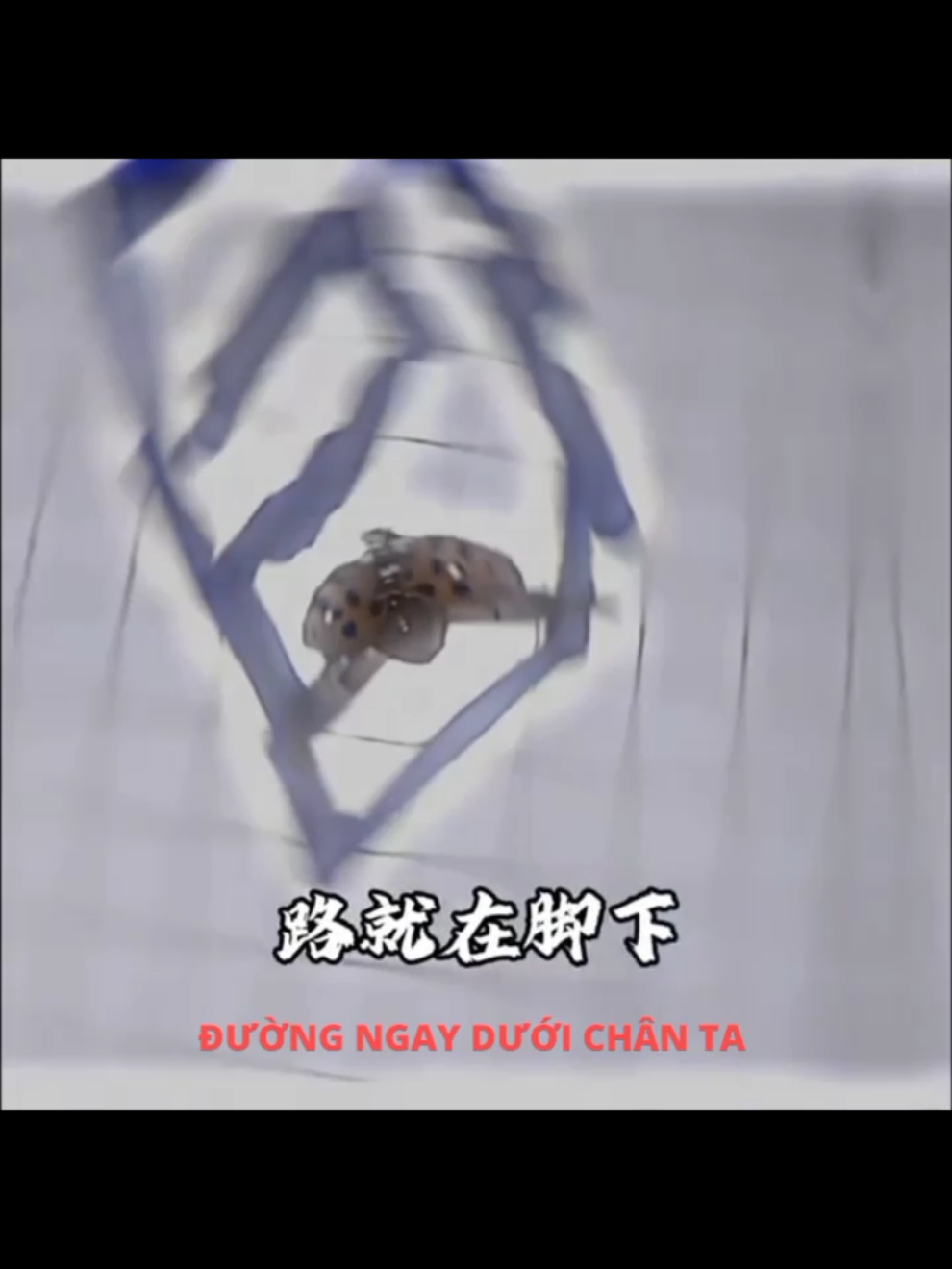 trời không tuyệt đường người 🗣️🗿 #炼天魔尊 #大爱仙尊 #古月方源 #cochannhan 