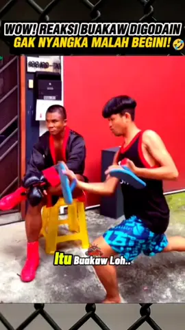 buakaw digodain malah begini 🤣#highlight #buakaw #funny 