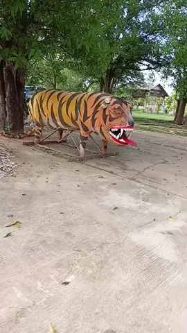 น่ากลัวก็ได้#เสือ#น่ากลัวมาก😱 