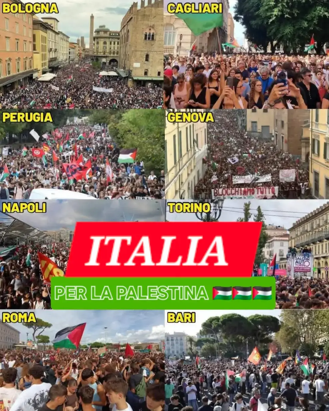 L'Italia con la Palestina  #freefreepalestine🇵🇸🇵🇸✊🏿✊🏿 #gaza #palestine #italia #lecce_italy 