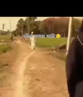 eta ami. #funny #foryoupage #trending #fyp 