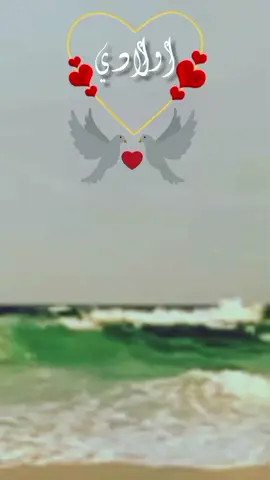 لو كنت أملك ألف قلب 💓 اولادي 🫂💞🫶🎧 #اولادي #اولادي_اغلا_ما_املك #اولادي_سر_سعادتي❤️❤️ #اولادي_نور_عيوني #جزاكم_الله_خير 