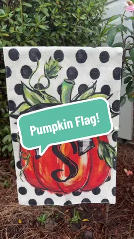 Multiple letter options! #falldecor #fallflag #fallporch 