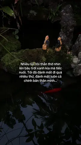 …#tamtrang #story 
