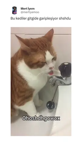 takip et ki her yeni paylaşımda beraber gülelim, beraber eğlenelim :)