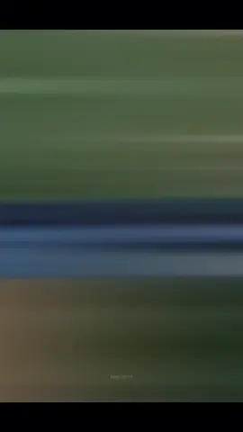 #CapCut 