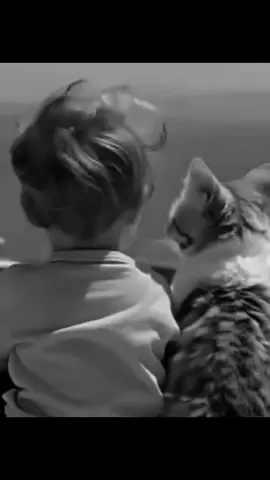 #tiktok #نقاء #القلب #جوهره_ثمينه_لاتقاس💎🌷🦋 
