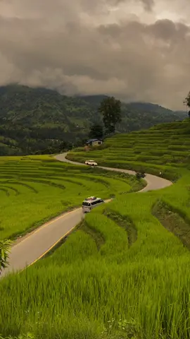 Dashain aayo😁💚💚