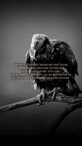 #keşfetteyizzz #güzelsözler #keşfet 