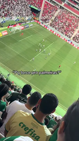 S.E.P orgulho em pertencer💚🇮🇹#palmeirasoficial #palmeiras #futebolbrasileiro #brasileirao #libertadores 