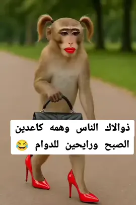 #الشعب_الصيني_ماله_حل😂😂 