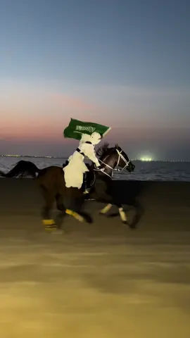 حنا لا ثارت نشوش🫡 #اليوم_الوطني #خيل_وخياله🐎 #السعودية🇸🇦 #explore #fyp 