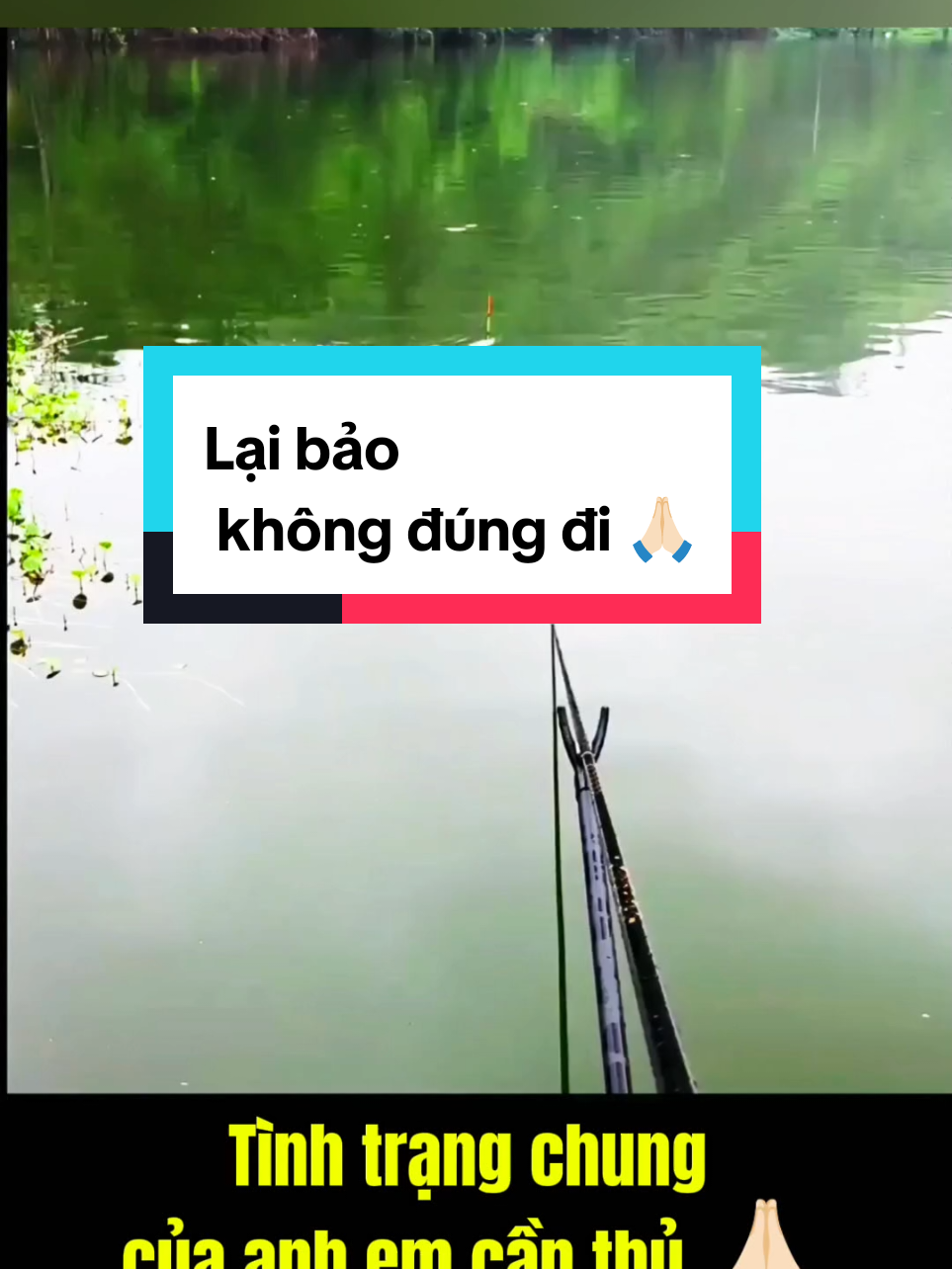 Anh em lại bảo không đúng đi #cauca #fishing #tunefishing 