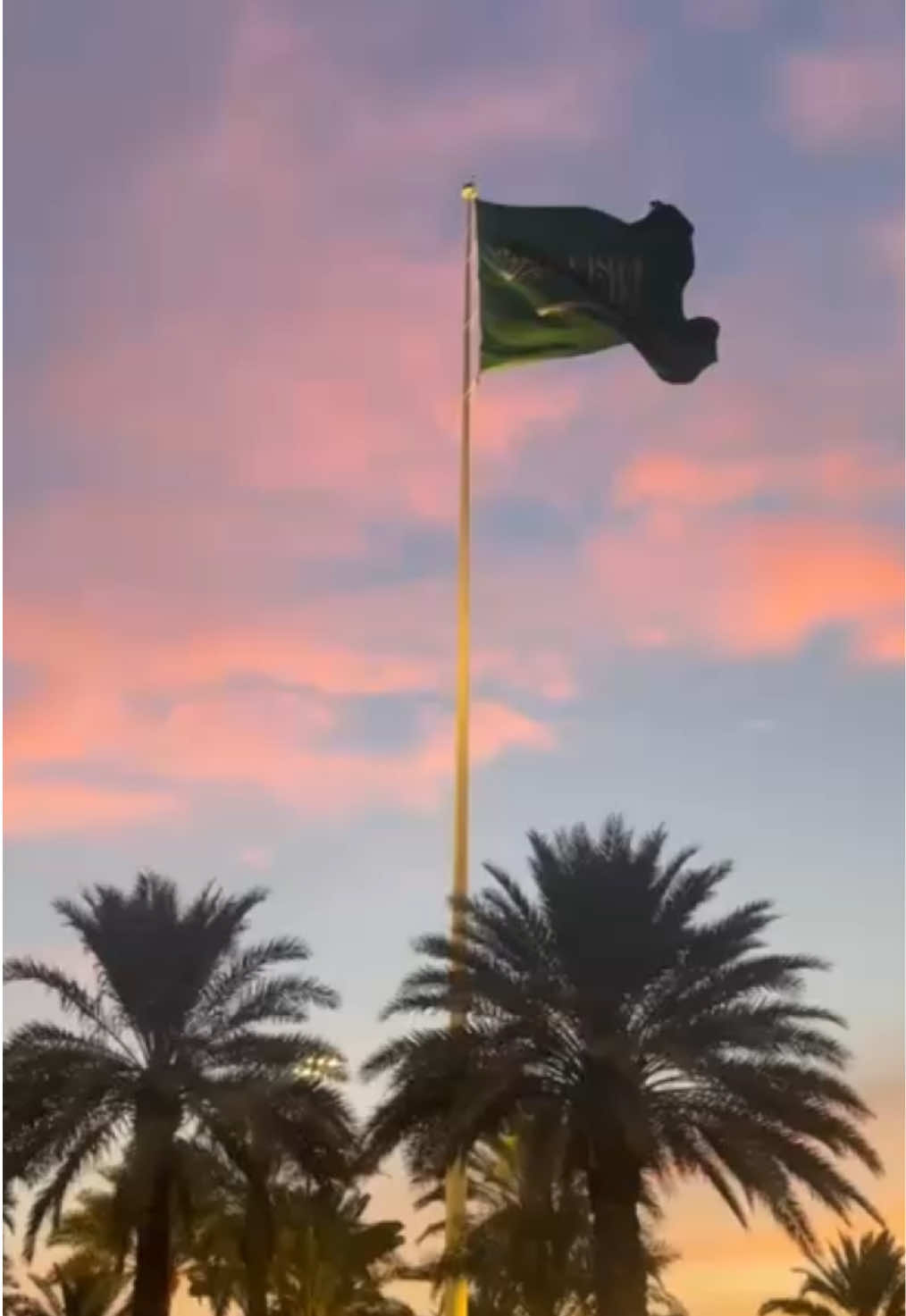 مرحبا في #موطن مثل السحابه ‏يمطر امجاد و يبادلك التحيه ‏المكارم و السياده و المهابه ‏في جميع الكون ماتلقون زيه 🫡🇸🇦 #اليوم_الوطني_السعودي_95 #السعودية #explore #اكسبلور 