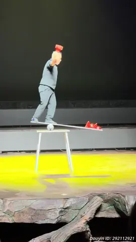 🎪 Skrytý akrobatický mistr: Dechberoucí podívaná, která strhla dav!