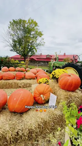 How's the weather where y'all at? Still 80s over here 🥹 but here is the Illinois autumn looks like when we used to live there 🎃🧡✨🤎  #happyfall #firstdayoffall #autumn #autumntok #autumnleaves 
