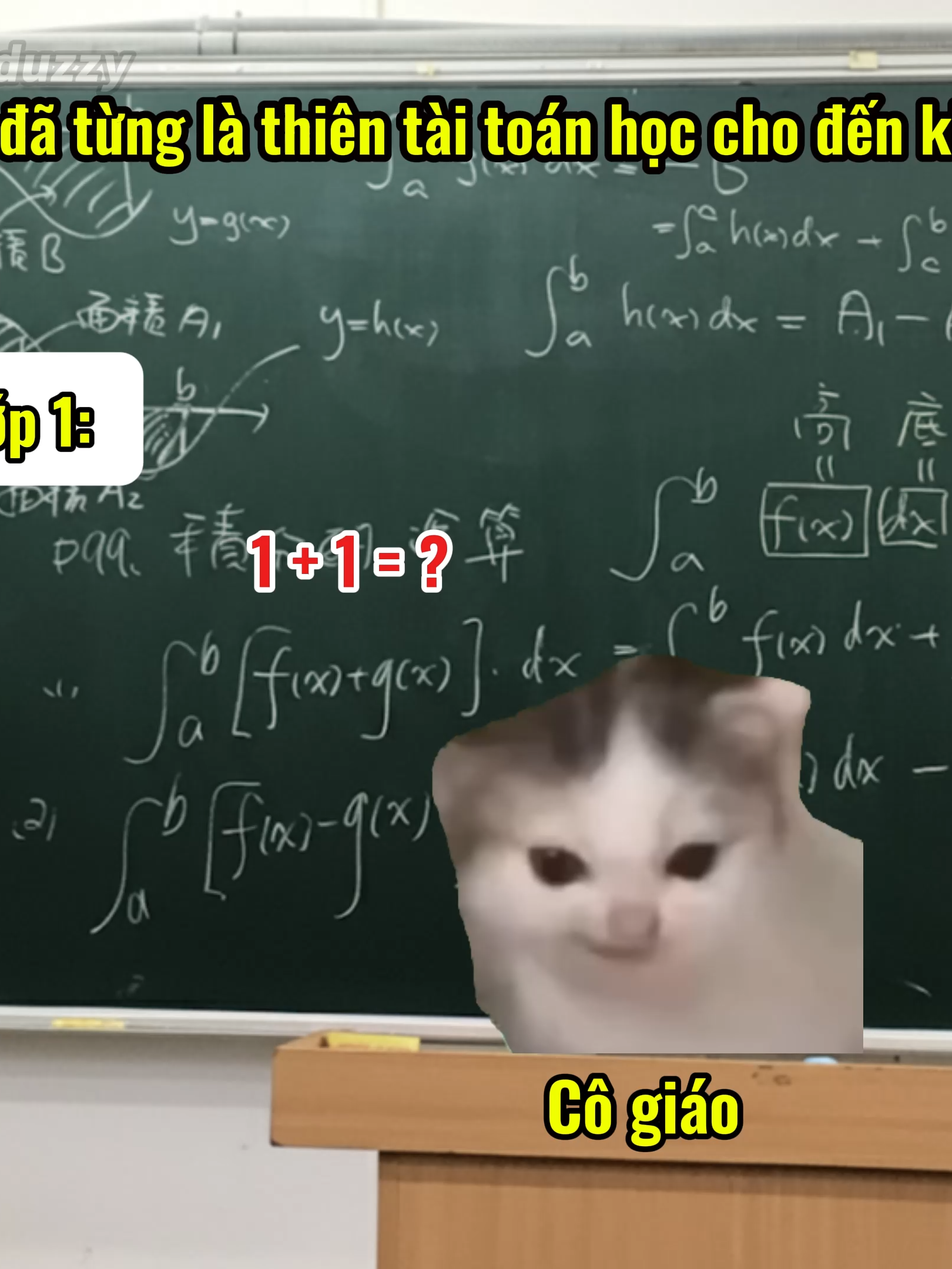 Tôi đã từng là thiên tài...#memes #catmeme #cat
