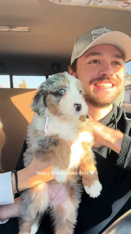 Our baby land shark is one 😭😭😭 Happy birthday blitzy girl ❤️❤️❤️