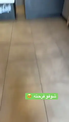 #الوطن #ماكدونالدز #فرحة_الوطن #احتفالات #اكسبلور 