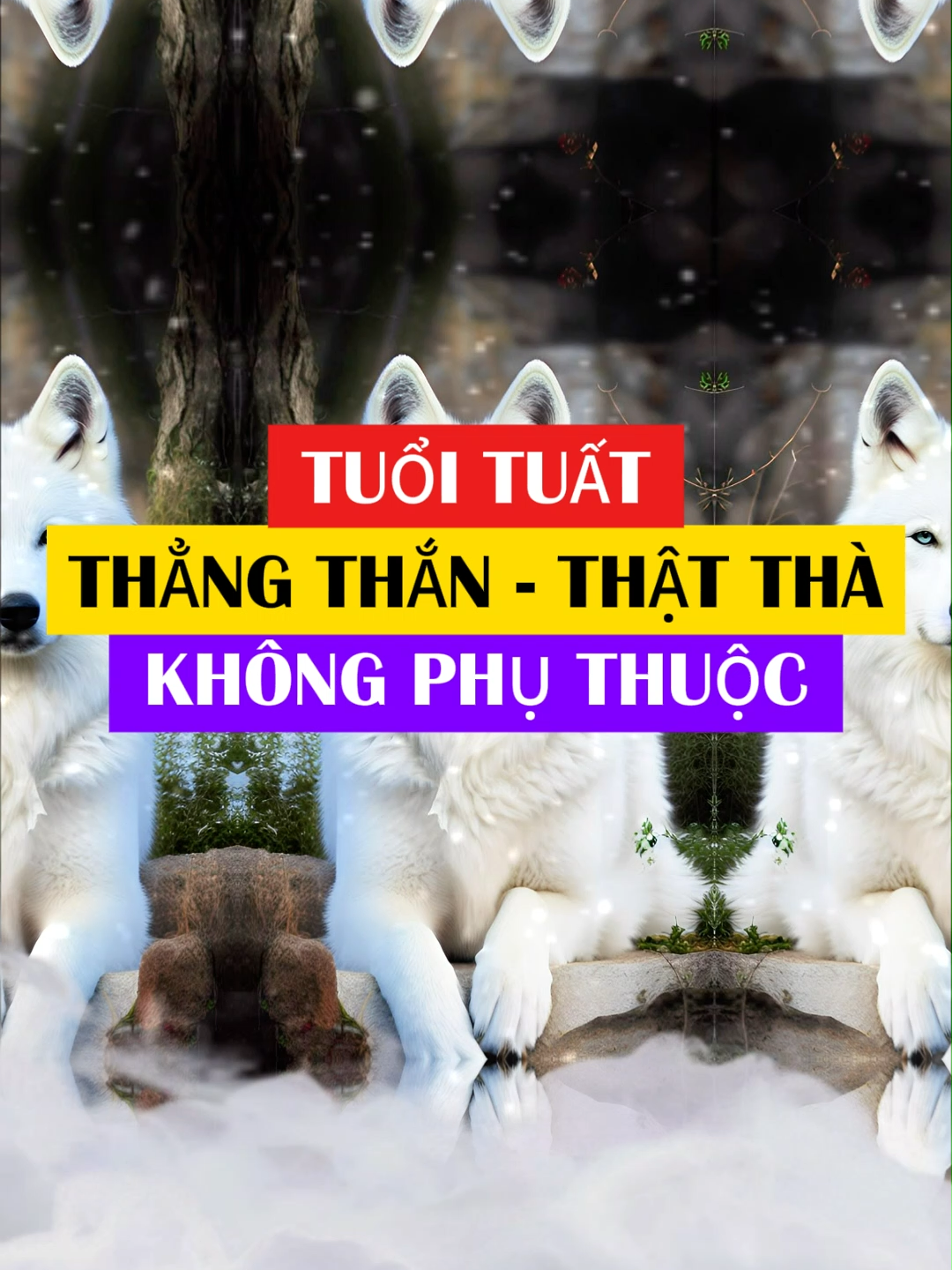 Tuổi Tuất thẳng thắn - thật thà nhưng chịu thiệt nhiều nhất #phongthuy #phongthuytamlinh #tuvi12congiap #tuvi #tailoc #tuoituat