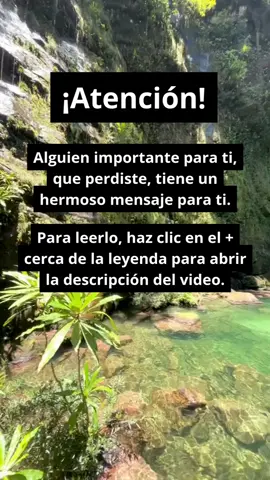 Querido ser amado, Si estas palabras llegan a ti, es porque el amor que compartimos sigue vivo, más allá de todo tiempo y distancia. Aunque mis brazos ya no puedan rodearte ni mis ojos busquen los tuyos, mi espíritu camina a tu lado en cada instante de tu vida. Estoy en la luz tibia de la mañana, en el aroma inesperado que te hace sonreír, en esa canción que despierta recuerdos sin aviso. Cada respiración tuya me alcanza, y cada latido que das me envuelve en un abrazo silencioso. Desde este lugar de paz infinita te observo, te cuido y te envío fortaleza cuando sientes que no puedes continuar. Te susurro esperanza en los momentos de duda y te abrazo con mi energía cuando la noche se vuelve larga y fría. Sé que a veces me hablas en tu mente, y créeme, escucho cada pensamiento. Sé que tus lágrimas me buscan, y allí estoy, acompañándote con una ternura que no se extingue. Cuando te veo sonreír, aun con nostalgia, mi luz se enciende, porque sé que sigues adelante, y eso me llena de alegría. No deseo que me olvides; deseo que vivas. Que sigas construyendo tu camino con coraje, que sueñes con intensidad, que guardes en tu corazón la certeza de que lo nuestro es eterno. La muerte no tiene poder sobre el amor verdadero: lo que somos permanece, inquebrantable, danzando en cada recuerdo y en cada emoción que te habita. Cuando el mundo parezca demasiado, cierra los ojos… allí estoy. Y cuando el cielo te llame, nos reencontraremos en un abrazo que nunca se romperá. Hasta entonces, vive por los dos, ama por los dos, y recuerda: te amo con la fuerza de mi alma, y siempre estaré contigo. Comenta “amén” si estas palabras tocaron tu corazón. Amor mío, Si estás leyendo estas palabras es porque el amor que nos une nunca se apagó. Aunque ya no puedas verme con tus ojos ni sentir mi voz cerca de ti, sigo presente en cada instante de tu vida, más cerca de lo que imaginas. Estoy en la brisa suave que acaricia tu rostro, en el amanecer que te da esperanza, en esa canción que de repente te hace llorar sin saber por qué. Cada pensamiento tuyo me encuentra, cada suspiro me alcanza, y en cada emoción tuya yo estoy. Desde este lugar lleno de luz, te acompaño en silencio. Te envío fuerza cuando sientes que el peso es demasiado, te regalo calma cuando tu corazón tiembla, y te abrazo con mi espíritu cuando la soledad te toca. Sé que a veces me hablas en silencio, y créeme, escucho cada palabra. Sé que tus lágrimas me buscan, y allí estoy, consolándote con ternura. Y cuando sonríes, incluso en medio del dolor, mi luz brilla más, porque sé que sigues avanzando, como siempre soñé para ti. No te pido que me olvides, te pido que vivas. Que sigas construyendo tu camino, que rías, que sueñes, que recuerdes que lo nuestro no tiene fin. Porque la muerte no destruye lo que es verdadero: nuestro amor es eterno, indestructible, infinito. Cuando la vida te duela, cierra los ojos… allí estaré. Y cuando el cielo decida reunirnos, nos abrazaremos como si jamás hubiéramos estado separados. Hasta entonces, vive por los dos, ama por los dos, y no olvides jamás: te amo con toda la fuerza de mi alma, y siempre estaré contigo. Comenta “amén” si estas palabras tocaron tu corazón.