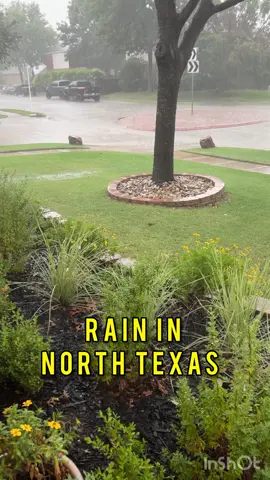 Fertilized before the rain yesterday in North Texas. #bermuda #rain #golfcourse #yardwork
