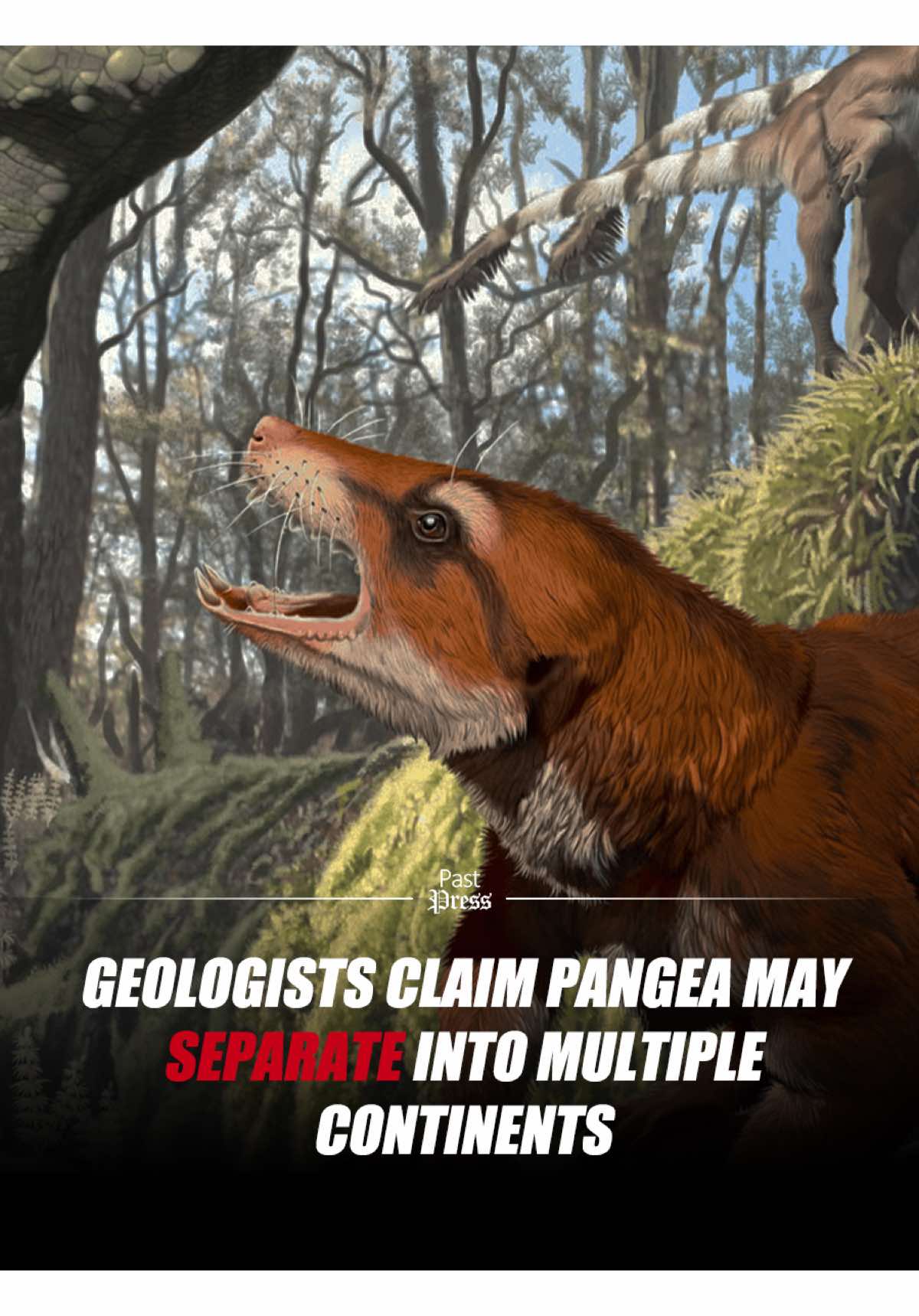 Scientists are claiming that Pangea may one day split into seven new continents. While the idea sounds incredible, experts are skeptical, insisting that land simply doesn’t move on its own. Geologists say the forces required to separate such massive landmasses are beyond anything humans have ever attempted. Some suggest it’s a fascinating thought experiment rather than a practical possibility. The theory has sparked curiosity and debate, with some imagining what new continents could look like—and whether life would adapt to such a drastic change. (for educational purposes only) #fyp #history #breakingnews #pastpress #pangea
