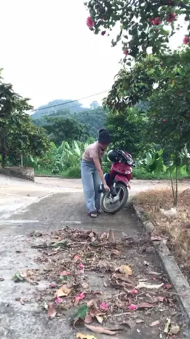 máy thổi phản lực cầm tay sử dụng để dọn dẹp lá rác bụi bẩn trong sân vườn nhanh chóng tiện lợi so với dùng chổi#maythoiphanlucbfj #maythoibui #maythoibui #maythoibuicamtay #_phamha2 