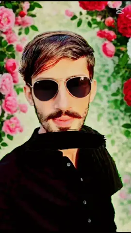 #creatorsearchinsights #viraltiktok #like #foryou 
