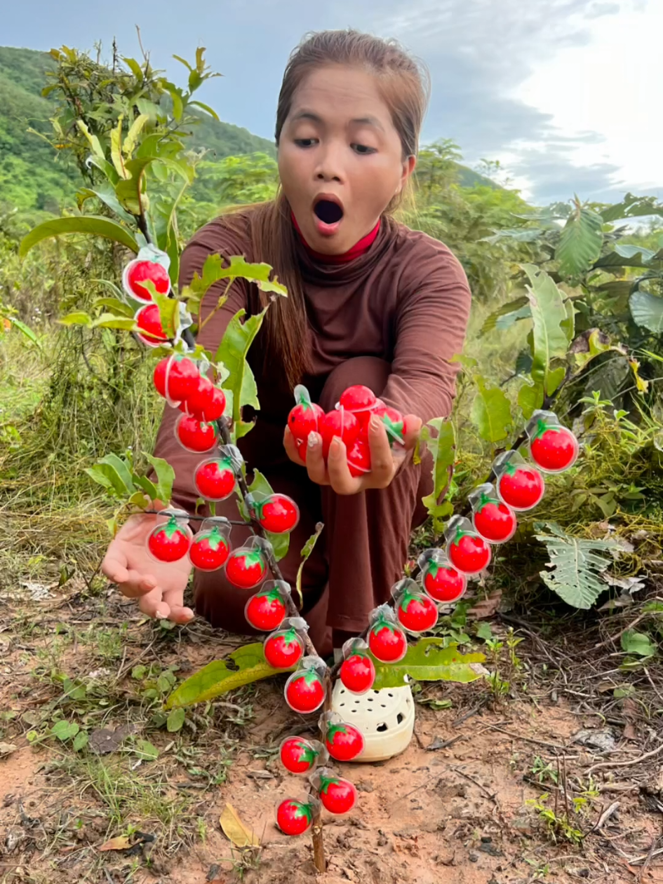 Survival candy in forest 