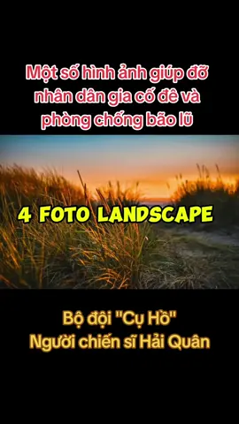 Bộ đội 